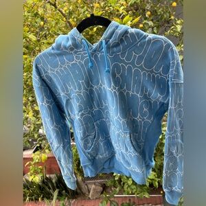 Champion Blue Graphic Hoodie